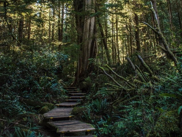 Pacific Rim National Park